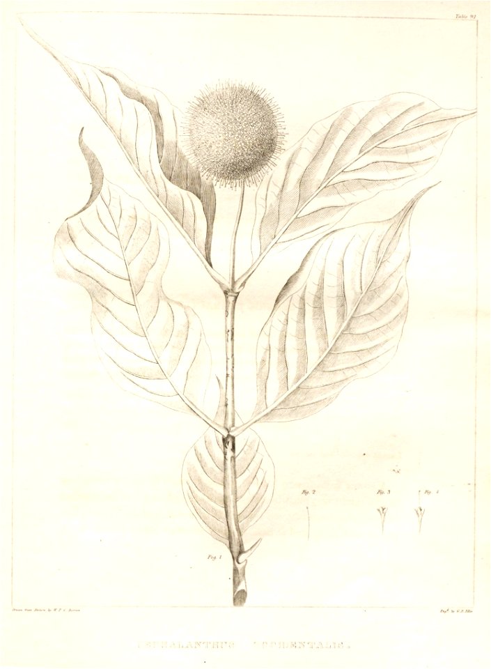 n83_w1150