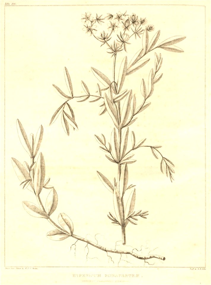 n136_w1150