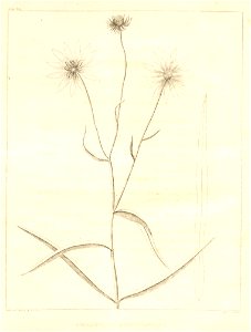 n133_w1150