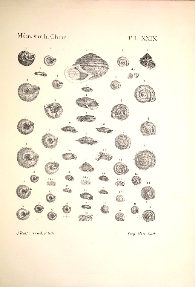 n178_w1150