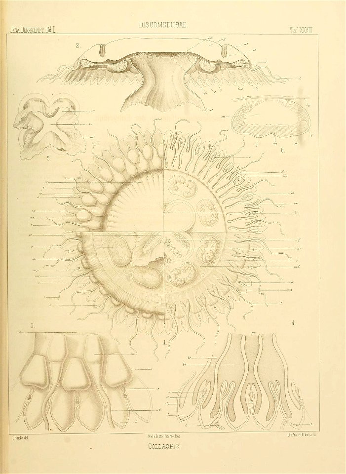 n122_w1150