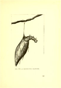 n402_w1150