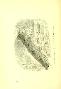 n353_w1150