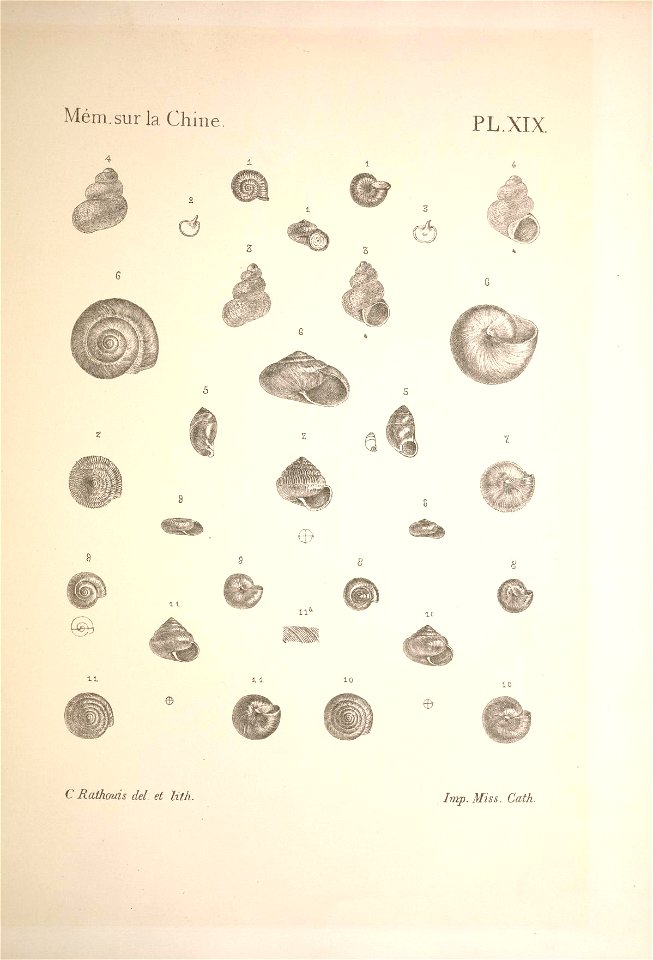 n112_w1150
