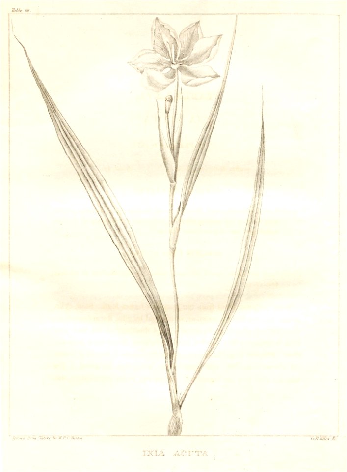 n130_w1150