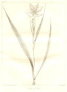 n130_w1150
