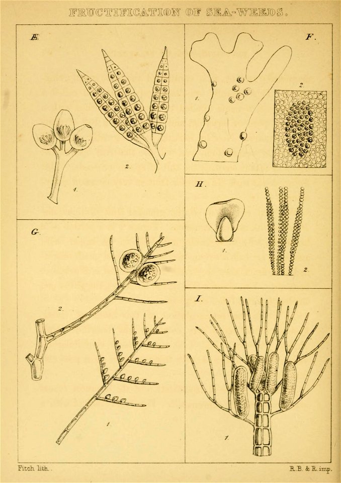 n59_w1150