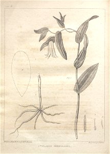 n168_w1150