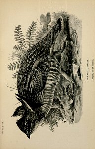 n378_w1150