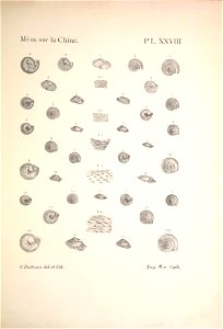 n176_w1150
