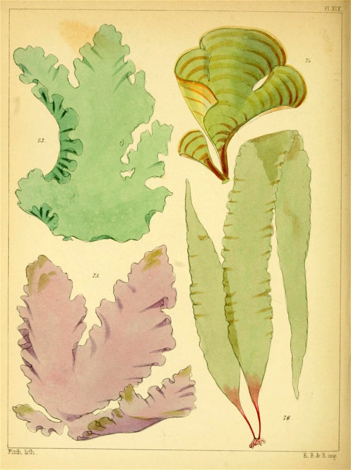 n375_w1150
