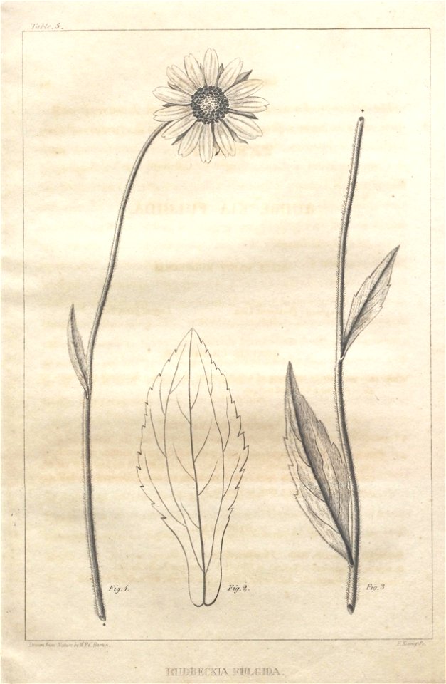 n45_w1150