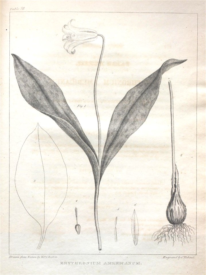 n173_w1150