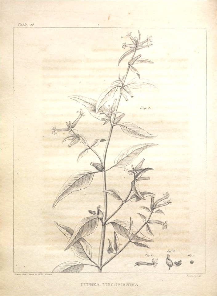 n104_w1150