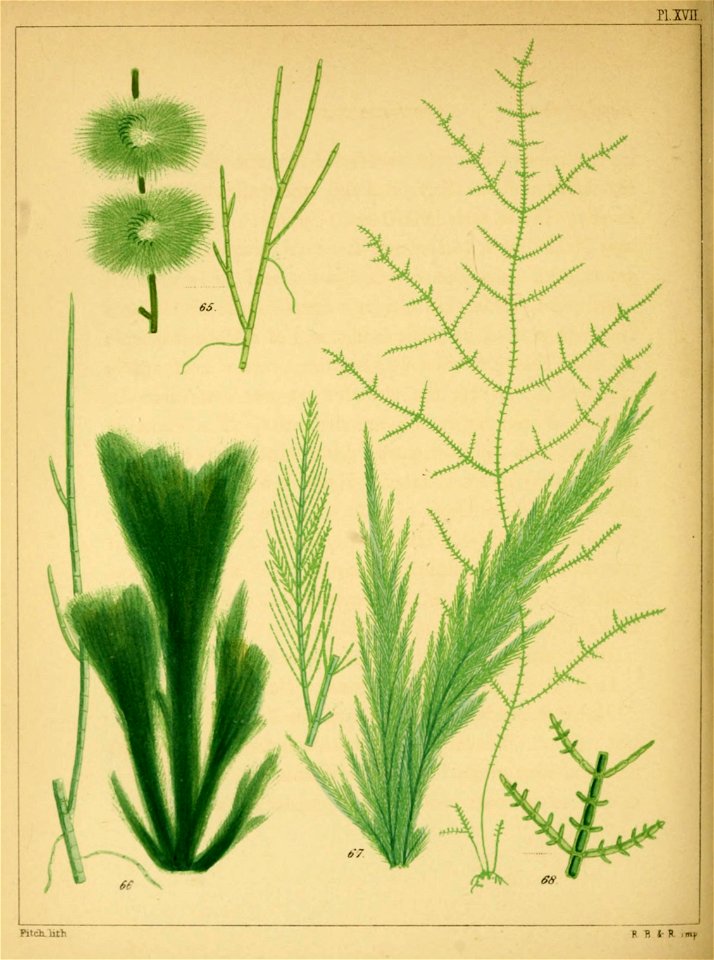 n355_w1150