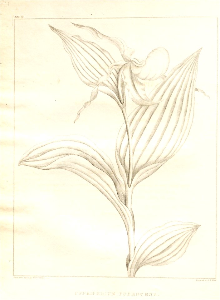 n18_w1150