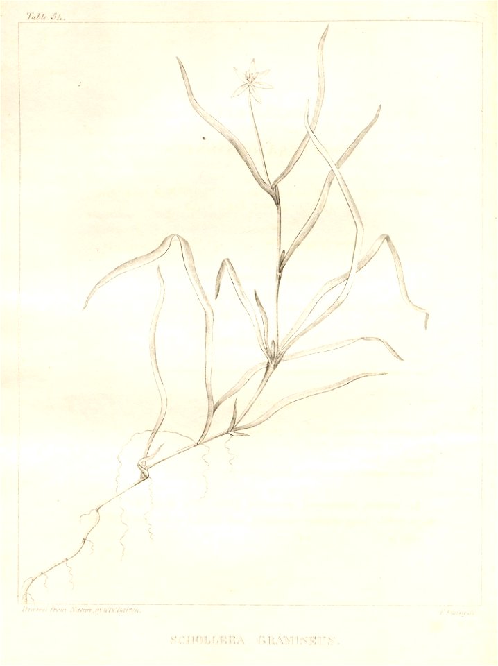 n81_w1150
