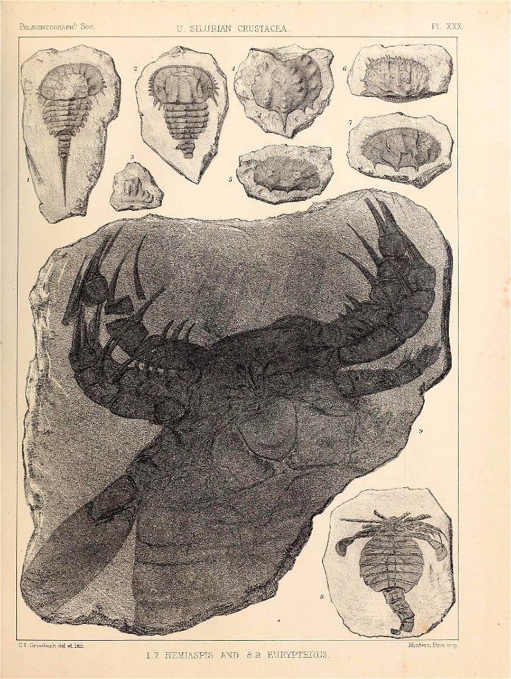 n328_w1150