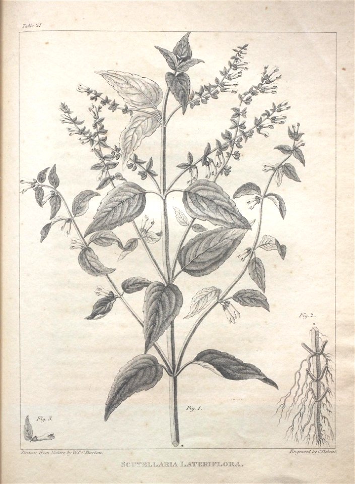n123_w1150