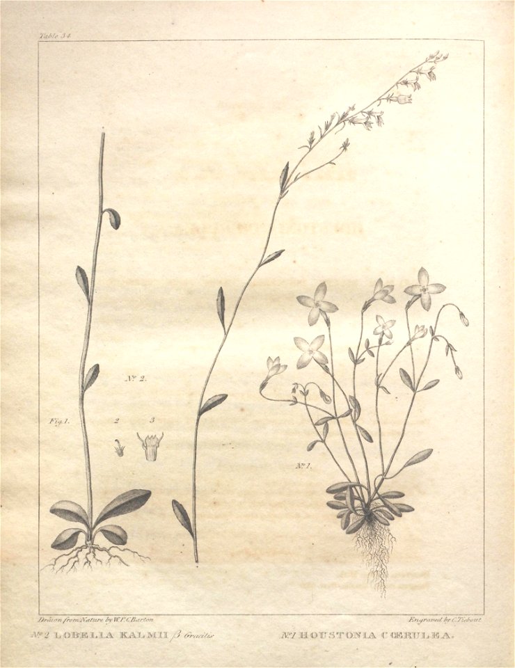 n176_w1150
