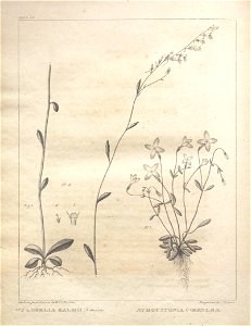 n176_w1150