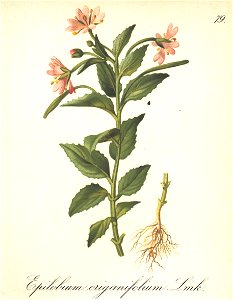 n153_w1150