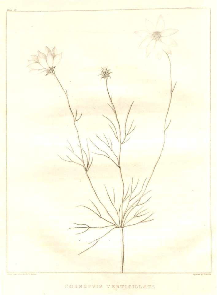 n15_w1150