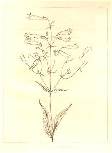 n127_w1150