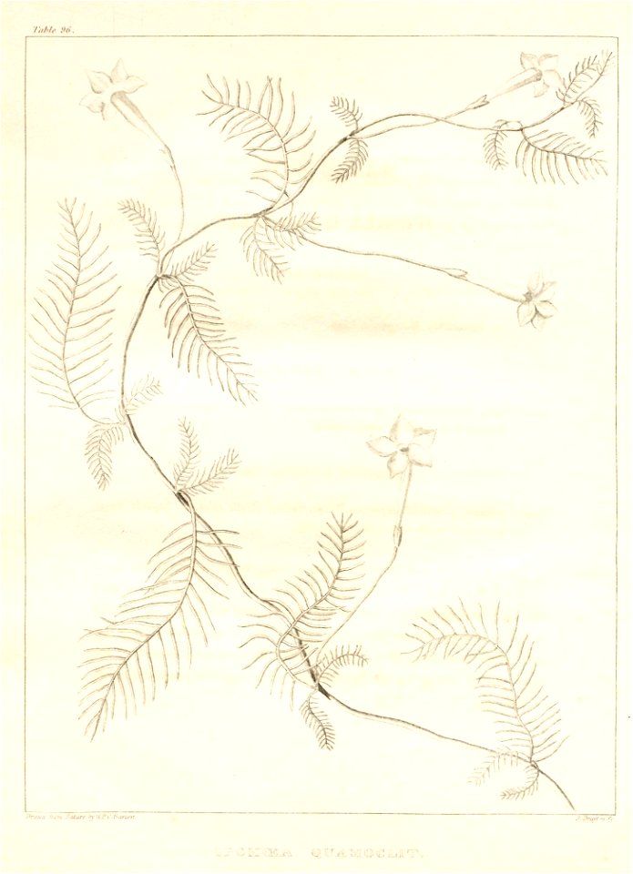 n102_w1150