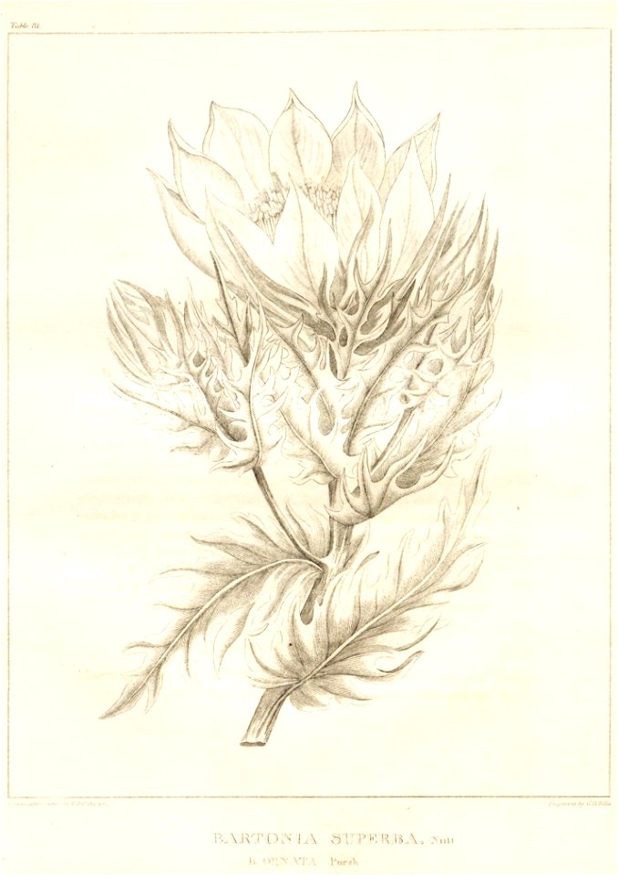 n46_w1150