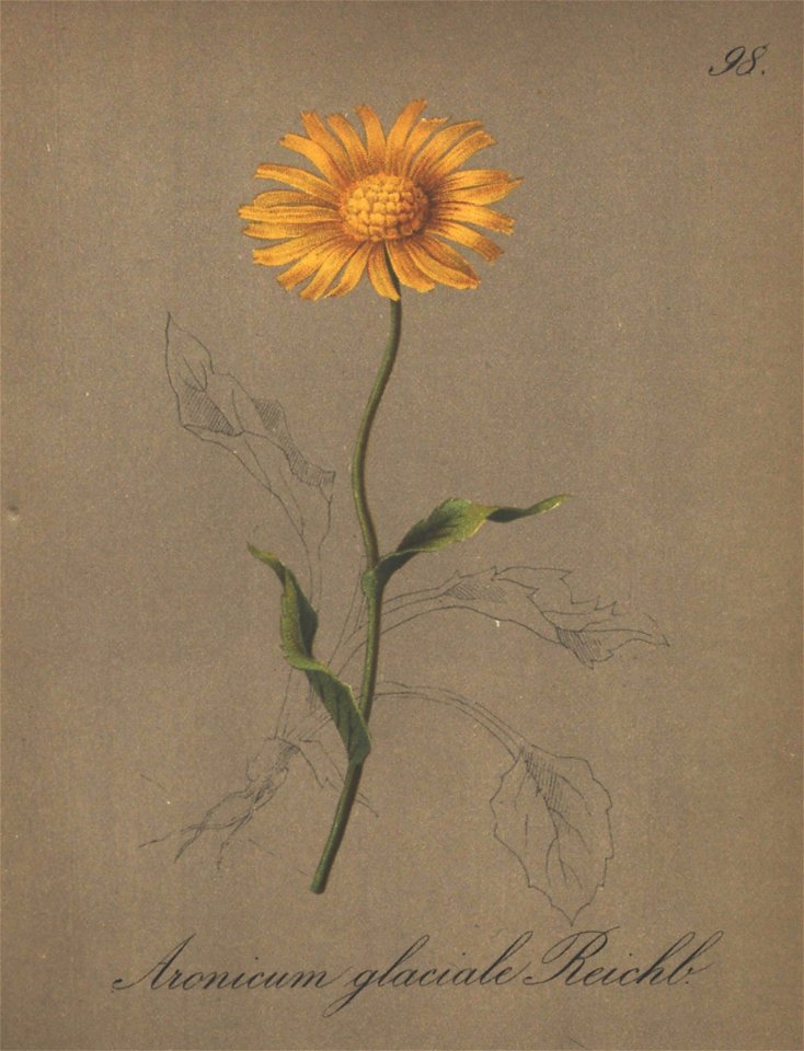 n172_w1150