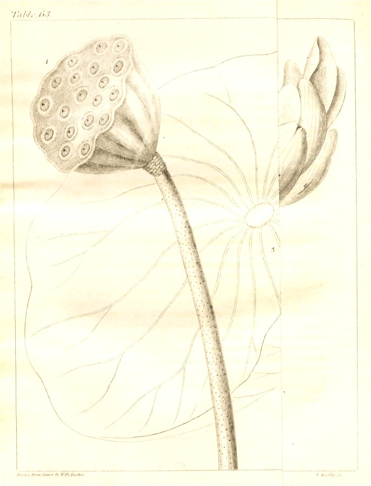 n114_w1150