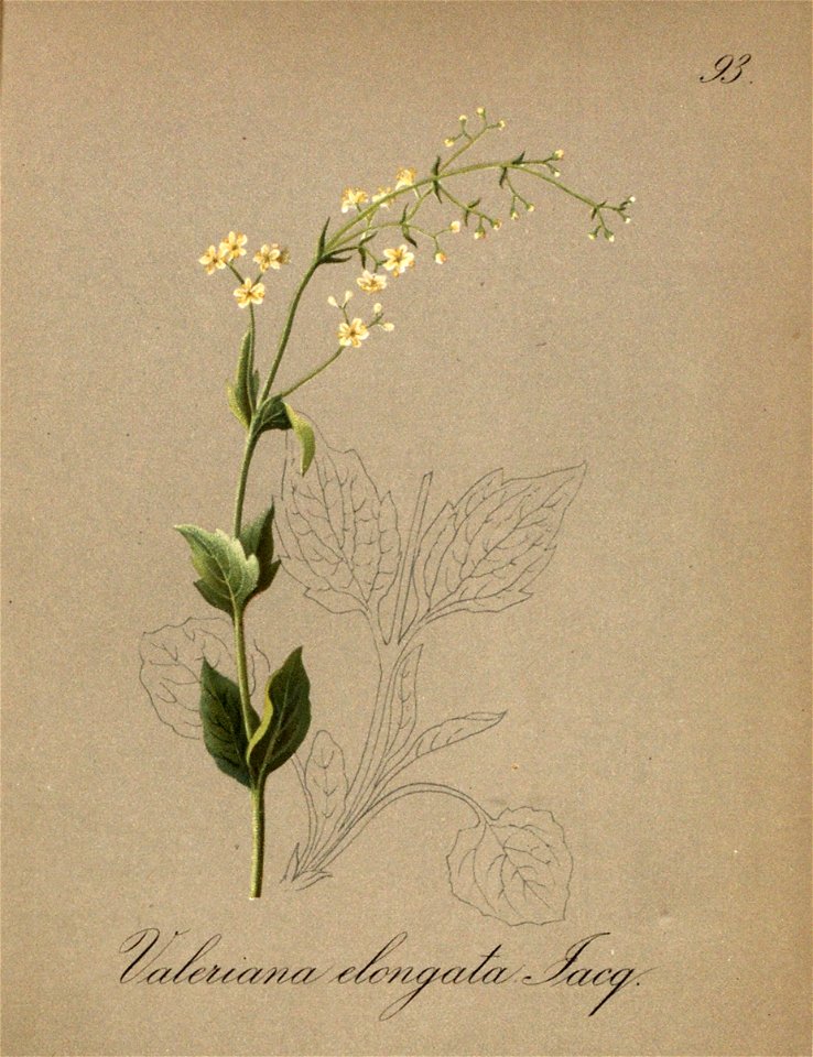 n167_w1150
