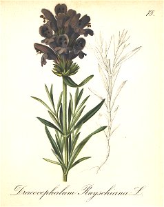 n152_w1150