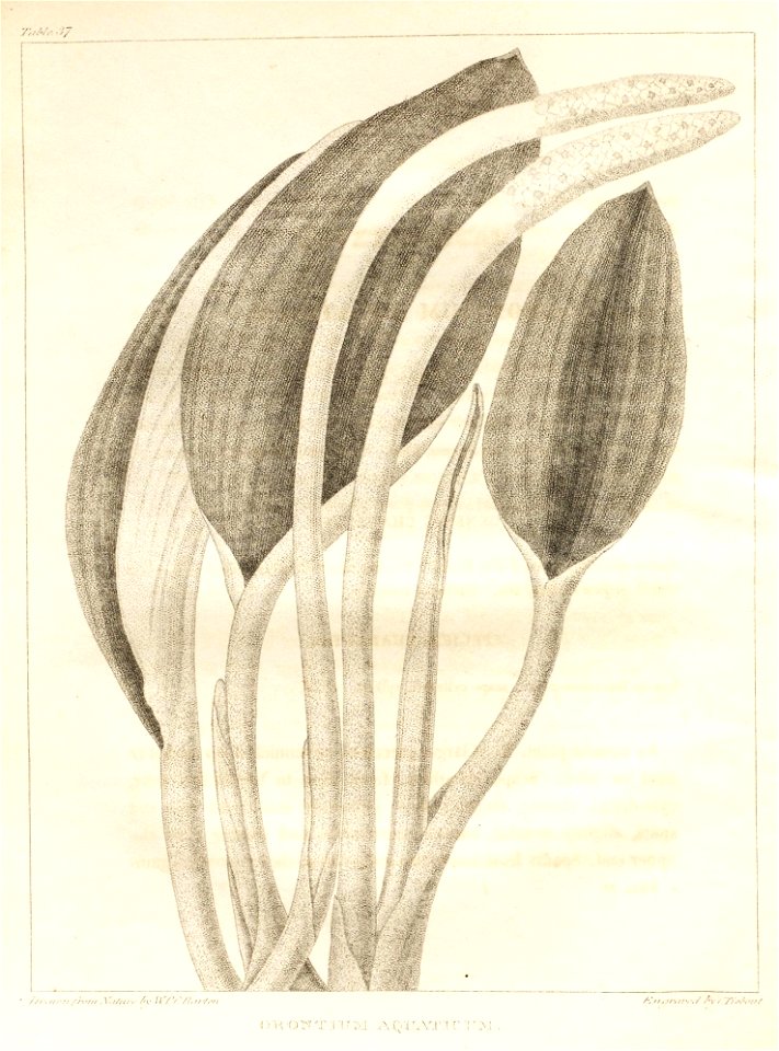 n10_w1150