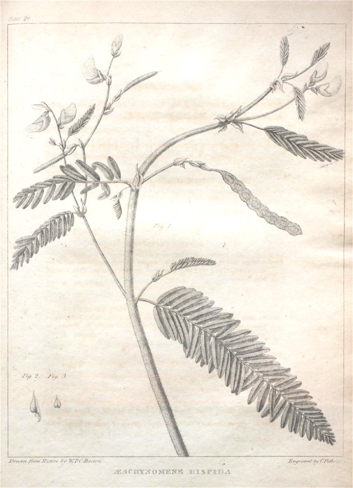 n155_w1150