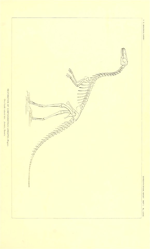 n444_w1150