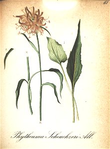 n133_w1150