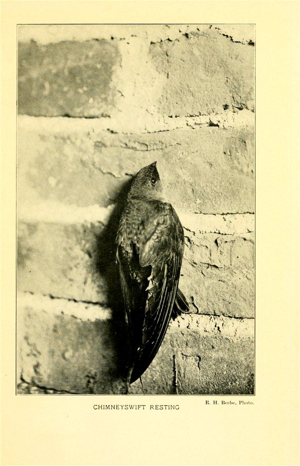 n502_w1150