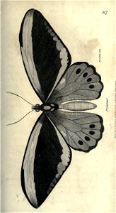 n180_w1150