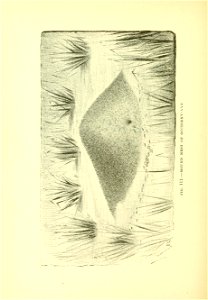 n359_w1150