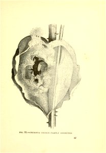 n82_w1150