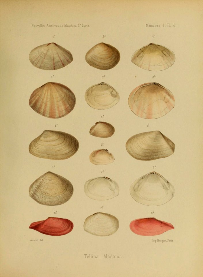 n392_w1150