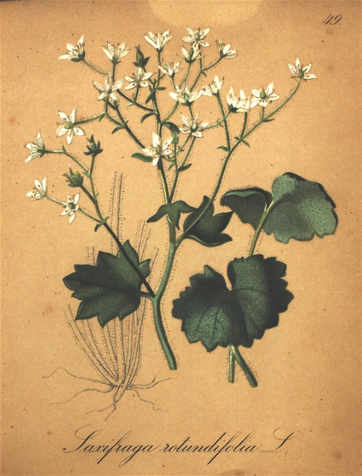 n121_w1150