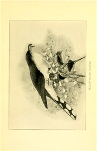 n538_w1150