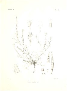 n60_w1150