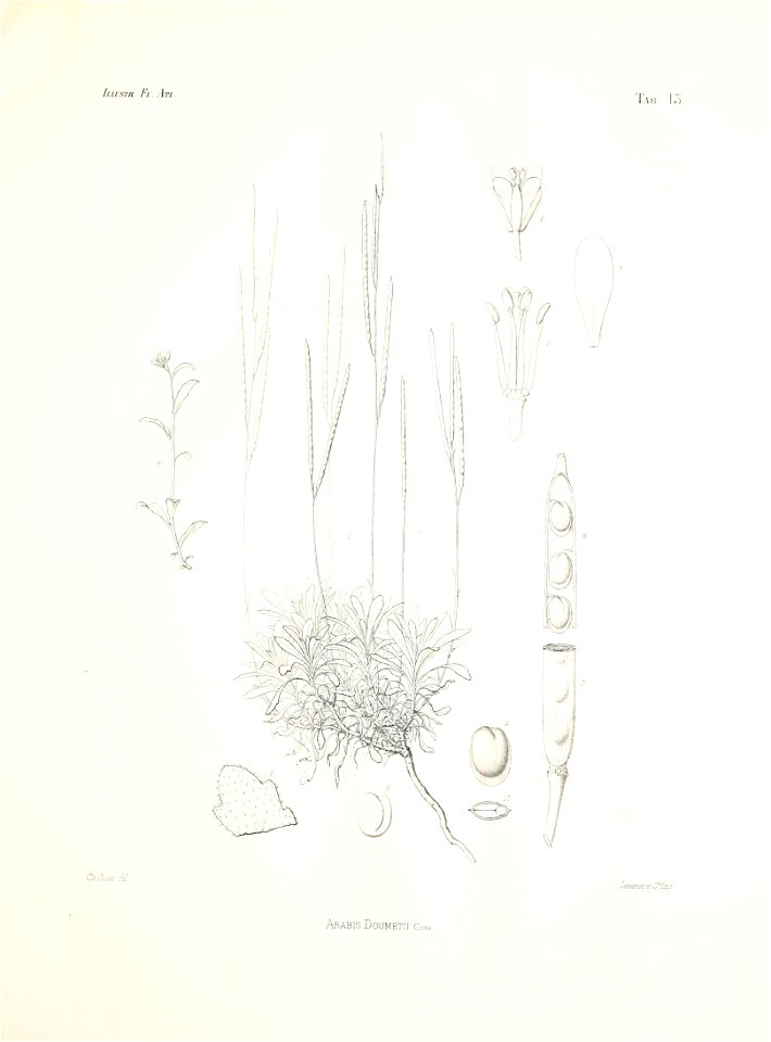 n58_w1150