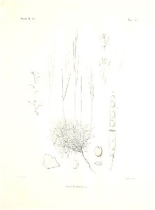 n58_w1150