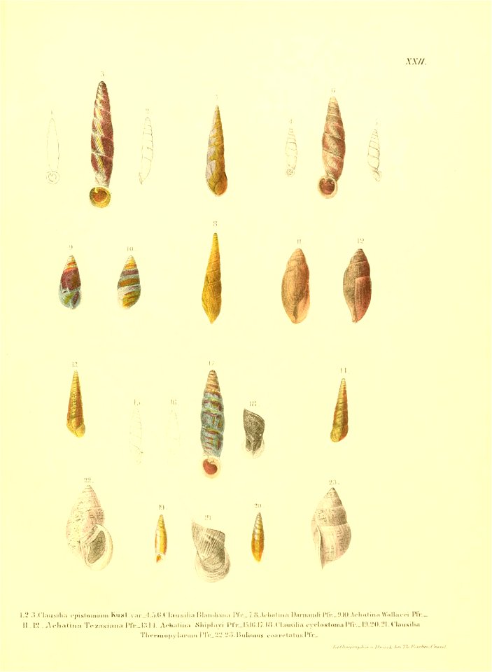 n190_w1150
