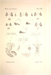 n116_w1150